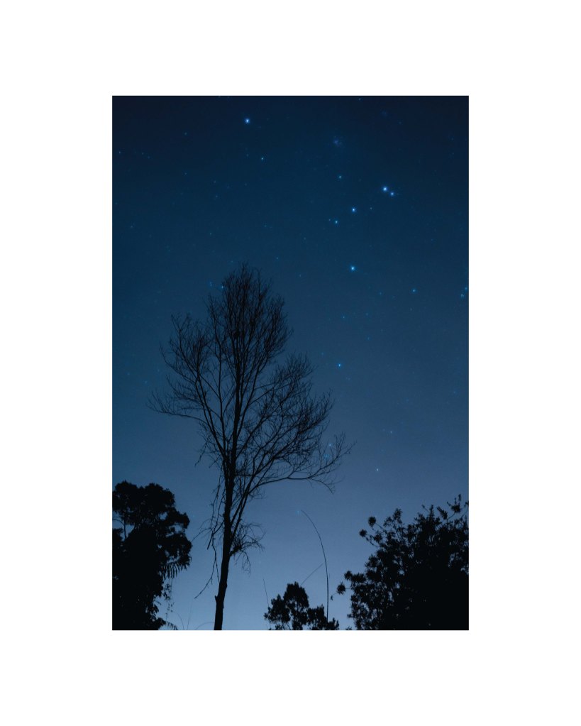 Street Photography Travel Photography Malaysia Fraser's Hill Conceptual Photography Shadows Editorial Photo Essay